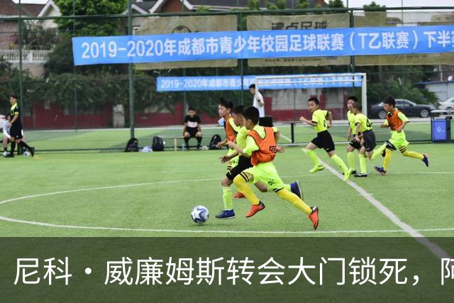 尼科·威廉姆斯转会大门锁死，阿森纳边锋引援多点出击