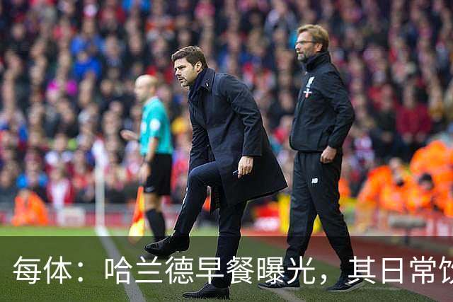 每体：哈兰德早餐曝光，其日常饮食热量最高可达6000大卡