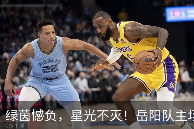 绿茵憾负，星光不灭！岳阳队主场1:2惜败益阳队